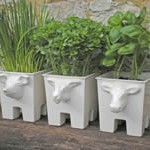 Animal Planters