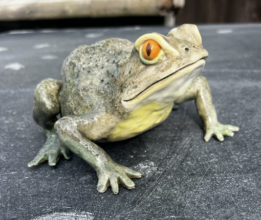 Modelling Animals- Taster Day - Image 41