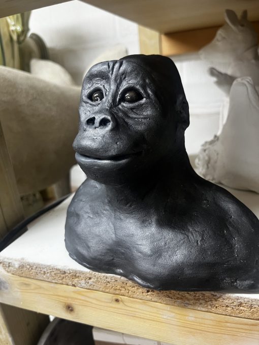 Modelling Animals- Taster Day - Image 22