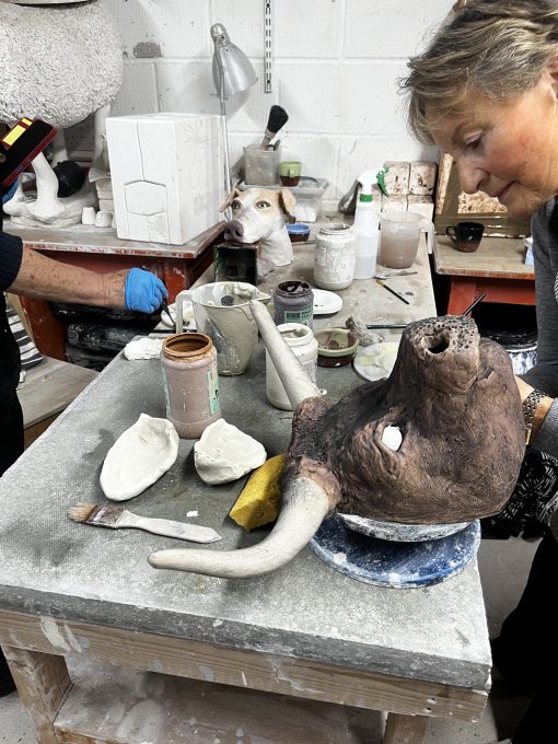 Modelling Animals- Taster Day - Image 11