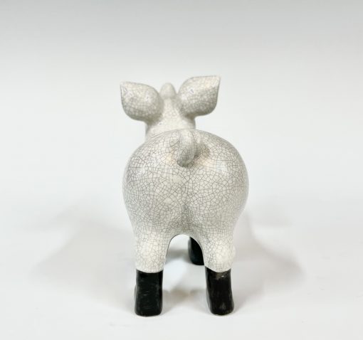 Mini pig in boots - Image 5