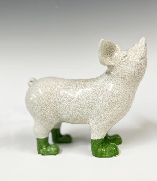 Mini pig in boots - Image 8
