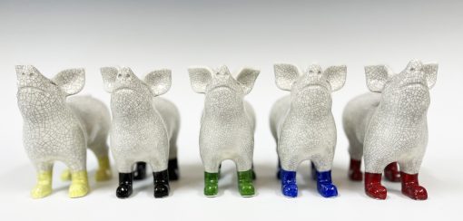 Mini pig in boots - Image 9