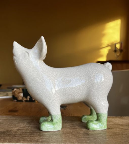 Mini pig in boots - Image 15