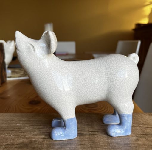 Mini pig in boots - Image 14