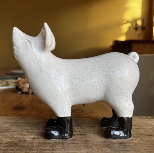 Mini pig in boots - Image 13