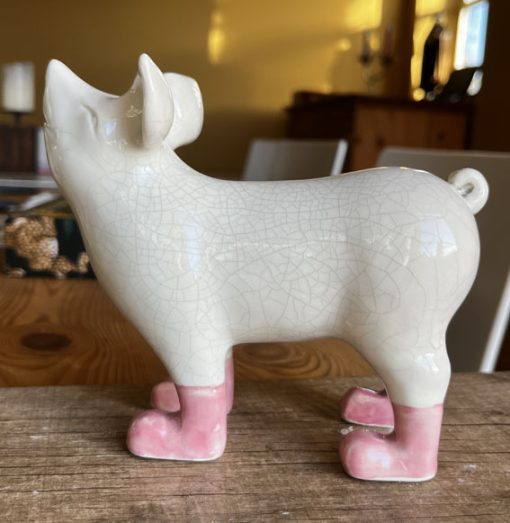 Mini pig in boots - Image 12