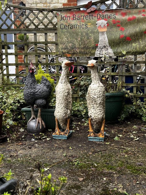 Ducks - Jasmine and Tulip - Image 4