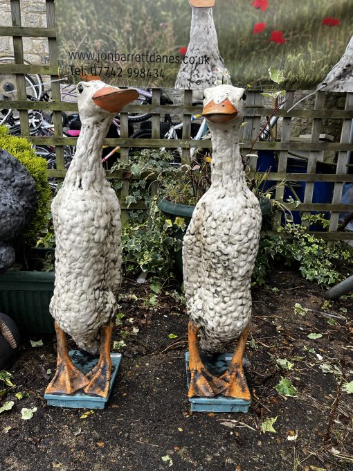 Ducks - Jasmine and Tulip - Image 3