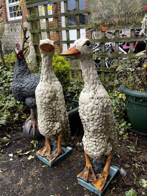 Ducks - Jasmine and Tulip - Image 2