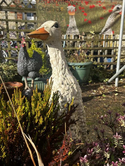 Ducks - Jasmine and Tulip