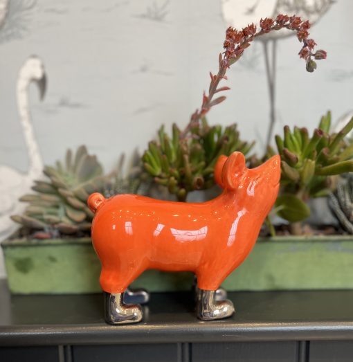 Mini Pigs with Gold or Platinum  lustre boots - Image 23