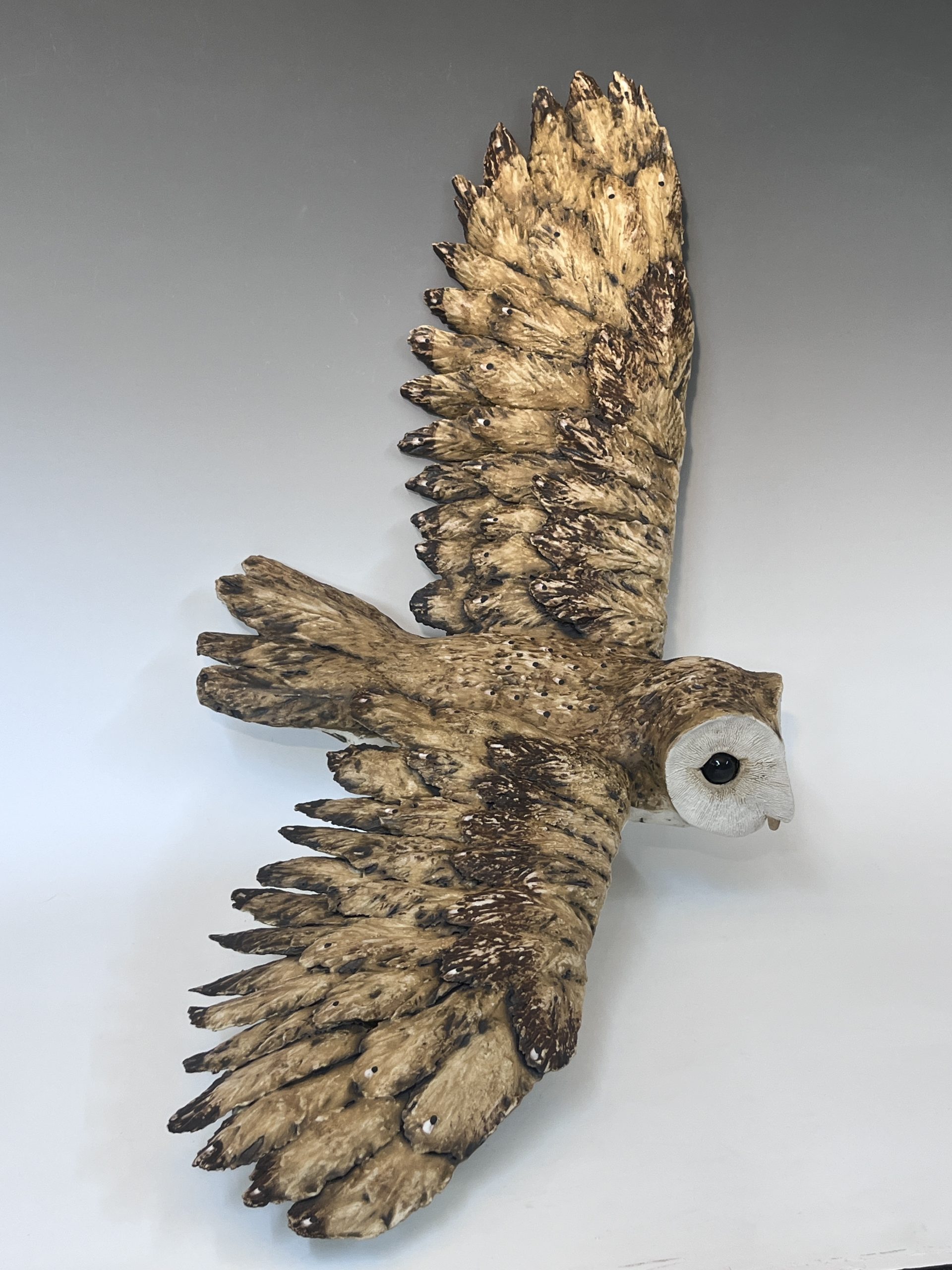 Making animals (five days) - Image 6