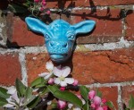 Blue Cow Head