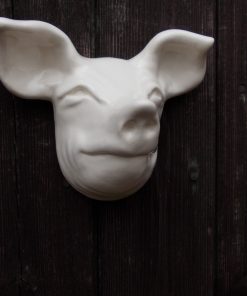 White Pig Head