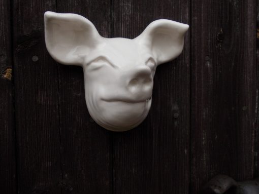 White Pig Head