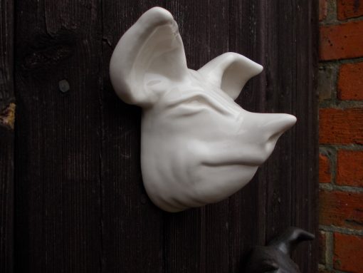 White Pig Head