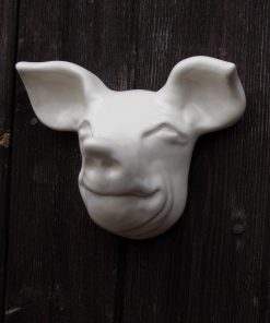 White pig head