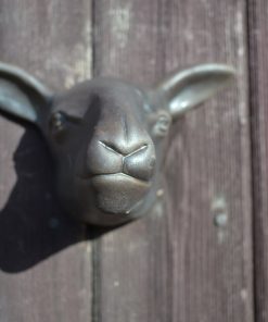 Sheep Head