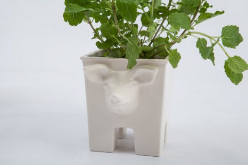 Pig headed planter - Image 2