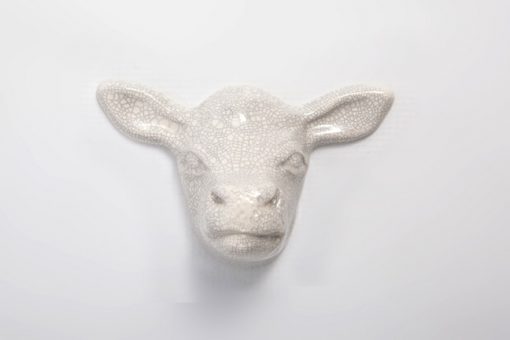 Cow head white crackle