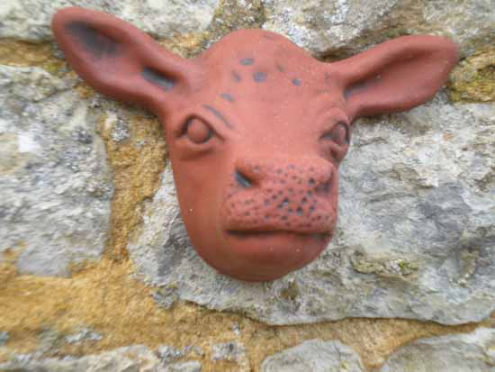 Red Cow Head