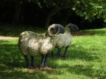 quarry gardens bigsheep