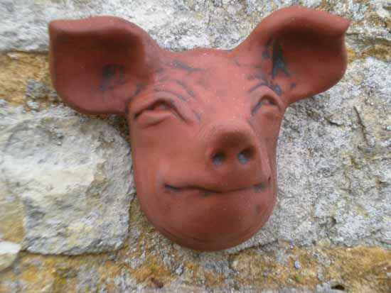 Red Pig Head