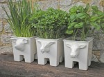 White Planters